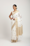 Silk cotton Saree