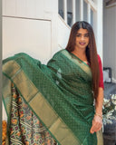 Chiffon Saree