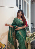 Chiffon Saree